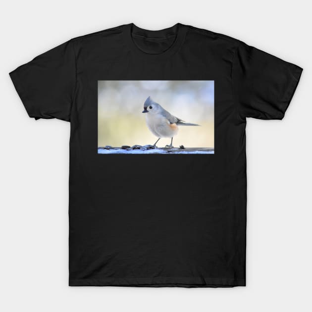 Winter guest T-Shirt by LaurieMinor